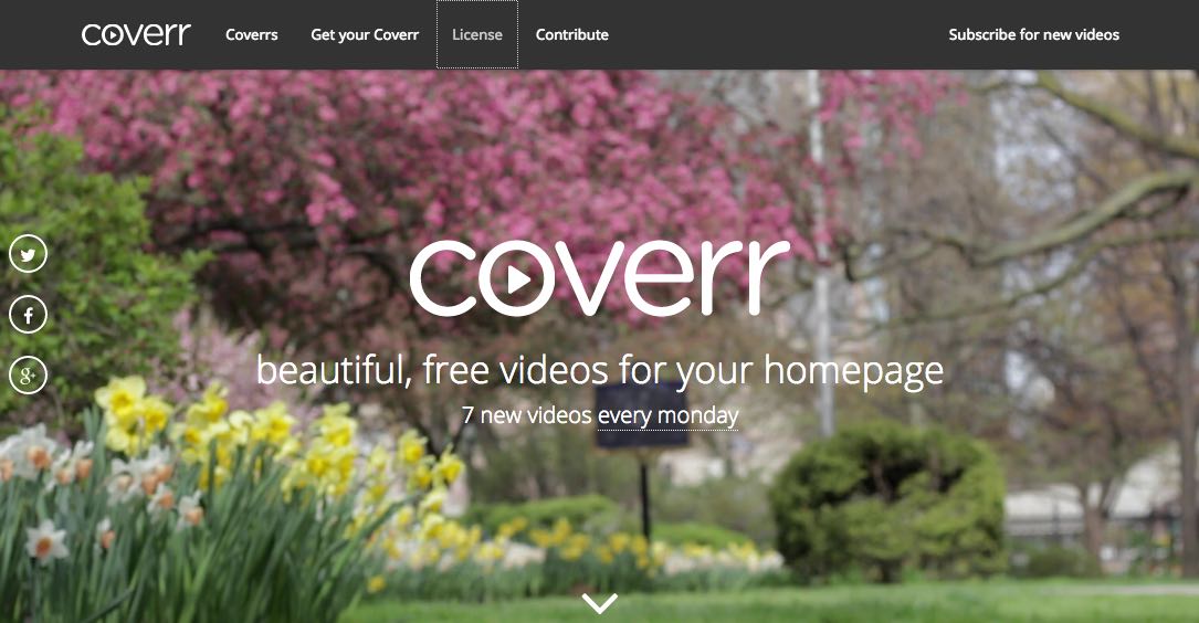 coverr free stock footage